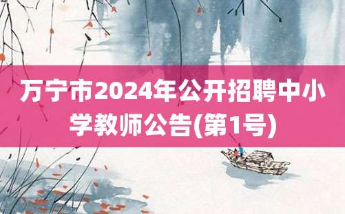 万宁市2024年公开招聘中小学教师公告(第1号)